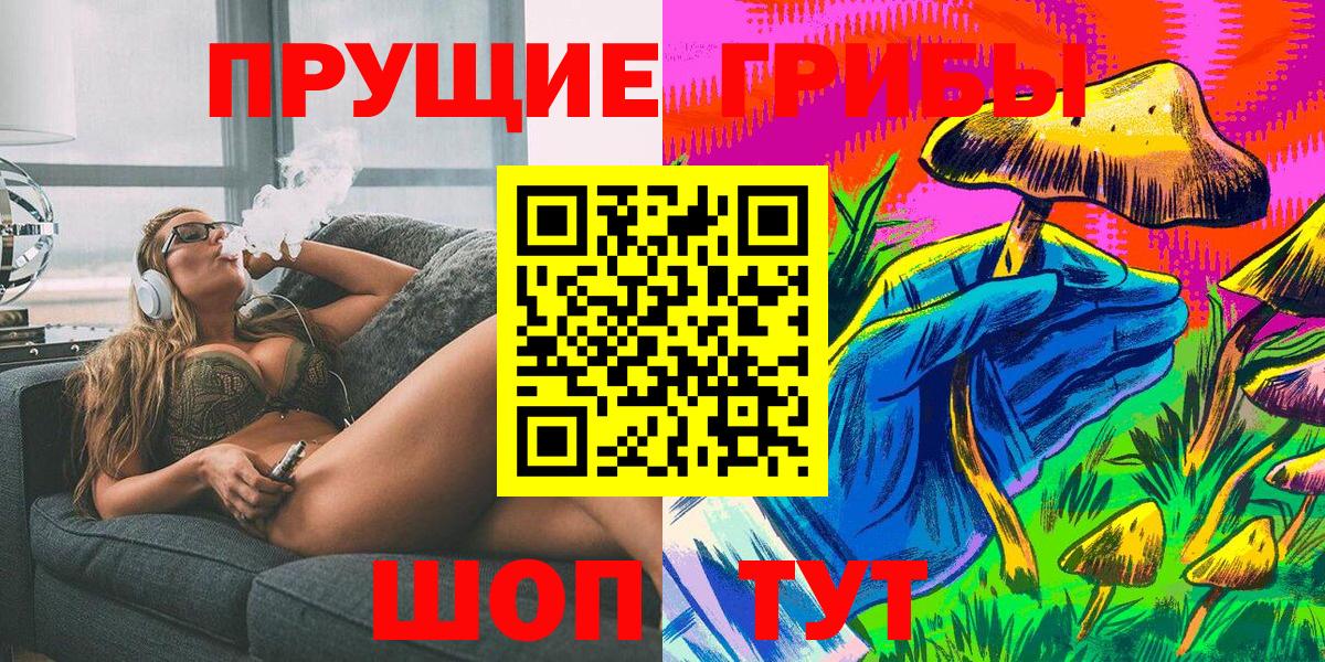 Галлюциногенные грибы Psilocybine cubensis Знаменск