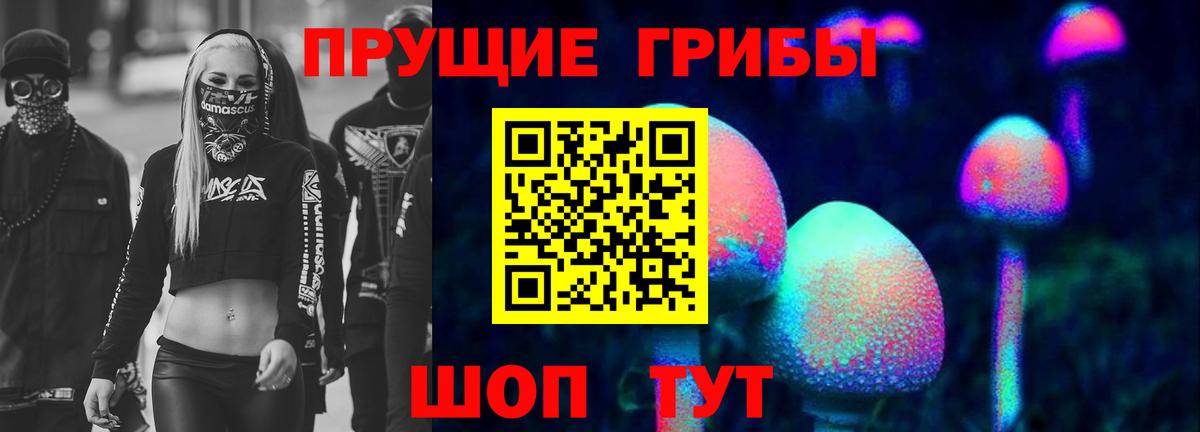 Знаменск  Псилоцибиновые грибы ЛСД  Вход с VPN  Галлюциногенные грибы ЛСД 